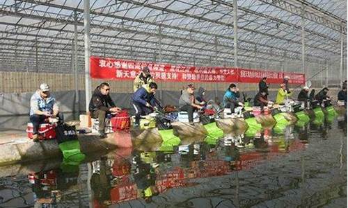 冬季黑坑大棚偷驴线组搭配推荐理由(春季黑坑偷驴技巧)